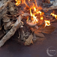 FIRESTARTERS